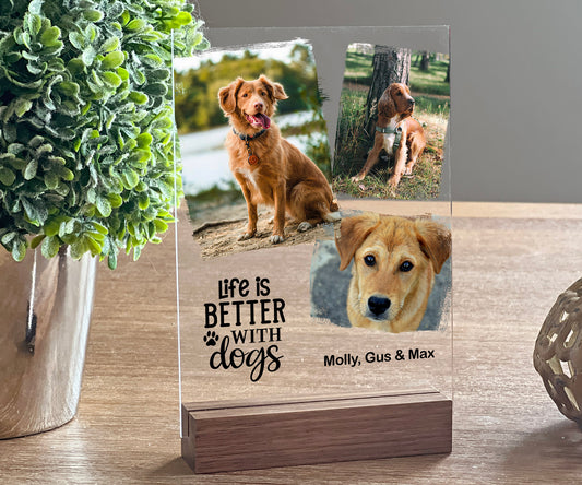 Life is Better With Cats/Dogs Photo Plaque Vertical