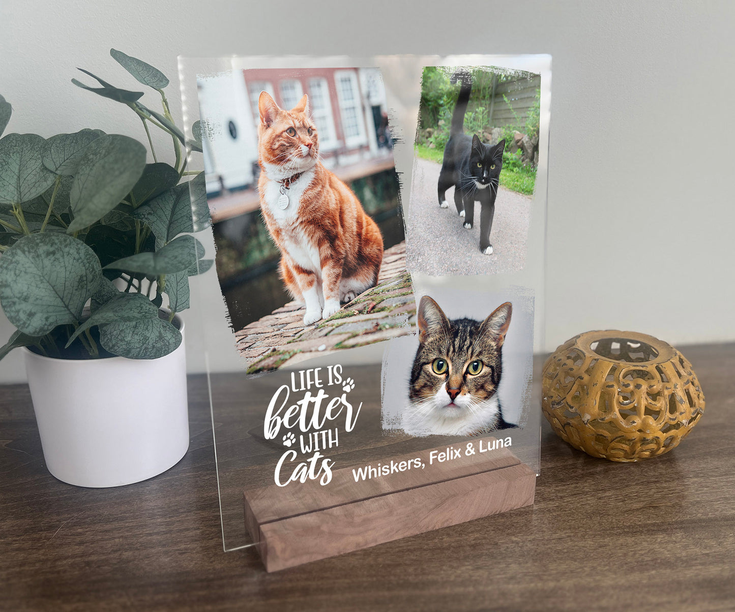 Life is Better With Cats/Dogs Photo Plaque Vertical